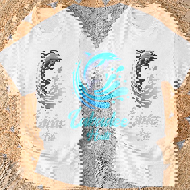 Labadee ハイチ お土産 ハイチの休暇 男性 女性 リマインダー Tシャツ 高齢者への贈り物