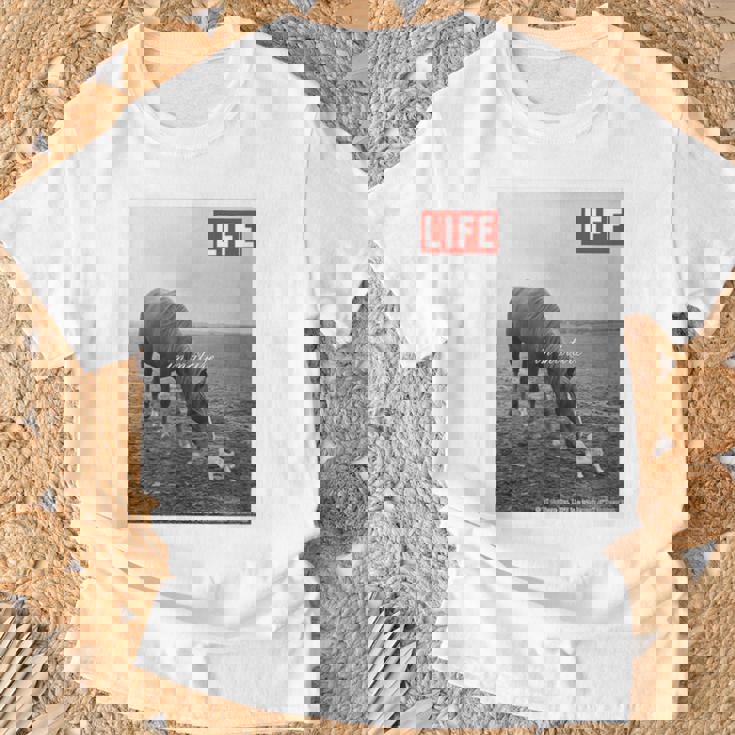 Life Picture Collection 馬と猫（1） Tシャツ 高齢者への贈り物