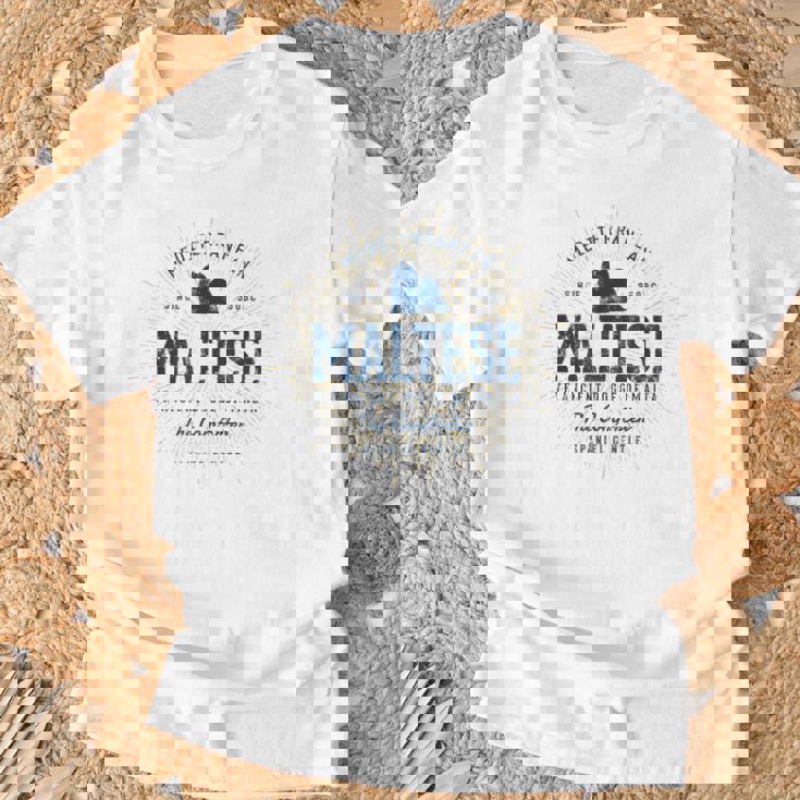 Maltese ギフトヴィンテージマルチーズ Tシャツ 高齢者への贈り物