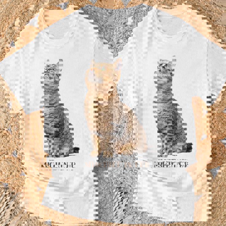 Mischief In Fur 猫写真 キジトラ 猫好き ネタ 猫しもべ 猫飼い 猫依存症 猫オーナー Tシャツ 高齢者への贈り物