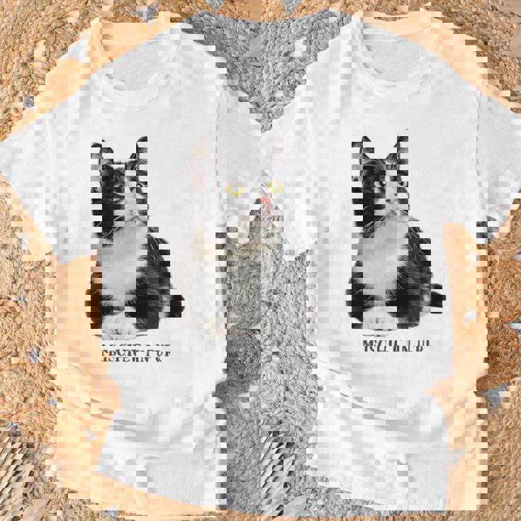 Mischief In Fur 猫写真 ハチワレ猫 黒白猫 猫好き ネタ 猫しもべ 猫飼い 猫依存症 Tシャツ 高齢者への贈り物