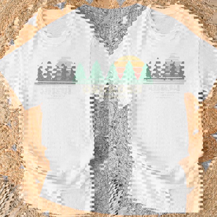 Oshkosh Wi ビンテージスローバックtシャツ レトロ70年代デザイン Tシャツ 高齢者への贈り物