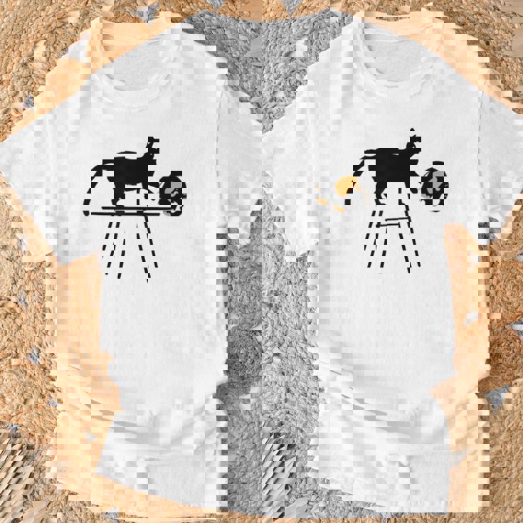 「おもしろいキャットレディが欲しい方法」に投票します Tシャツ 高齢者への贈り物