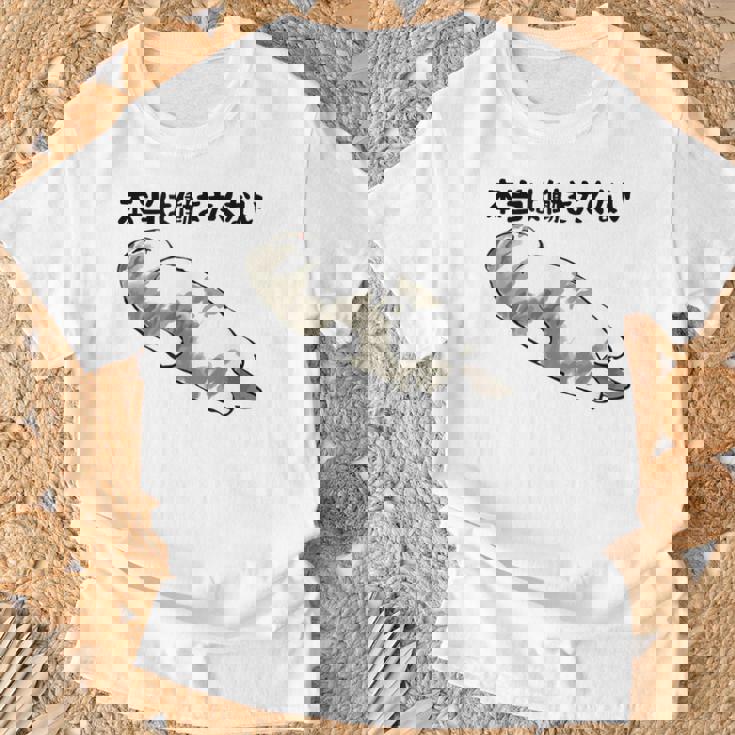 「本当は働きたくない」猫 文字入り おもしろ 筆文字 面白い 服 面白い Tシャツ 高齢者への贈り物