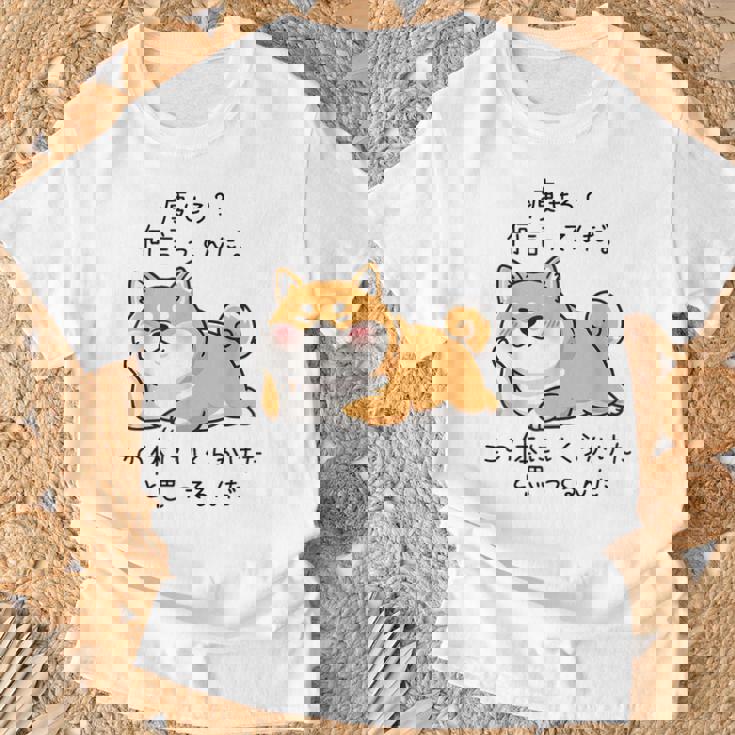 【痩せろ何言ってんだ。この体にいくらかけたと思ってるんだ。】柴犬 おもしろ ギャグ ネタ ウケ狙い Tシャツ 高齢者への贈り物