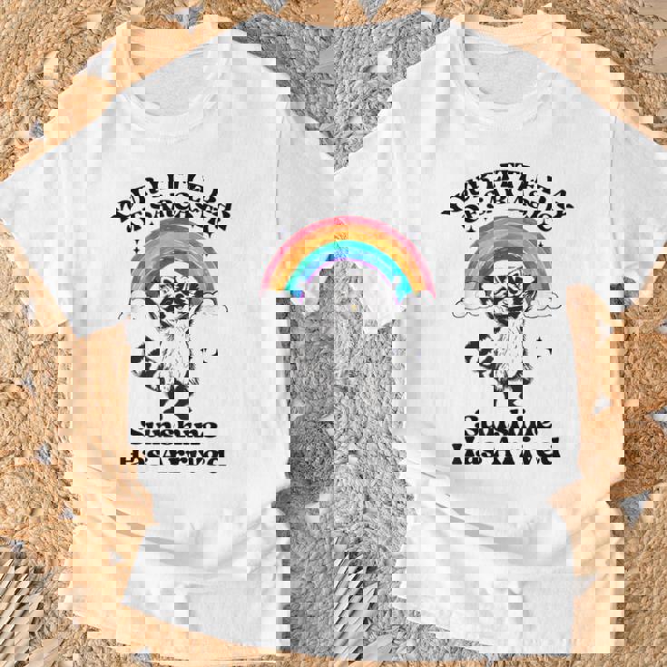 あなたの小さな皮肉な太陽の光はアライグマに到着しました Tシャツ 高齢者への贈り物