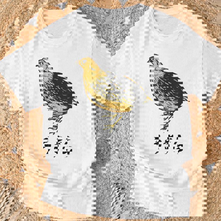 うずら 面白いtシャツ かわいい 鳥 筆文字 メンズ おもしろ 面白い 服 オリジナル グッズ 文字tシャツ ネタ Tシャツ 高齢者への贈り物