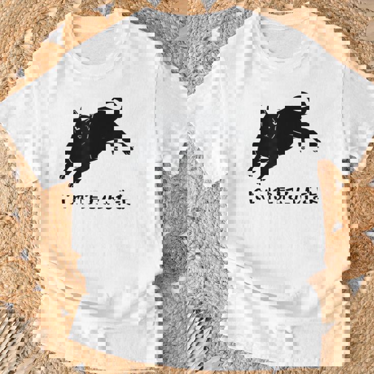 にゃに見てんだよ 猫 おもしろ 可愛い ねこ ネコ 猫 ネコ 猫 柄 かわいい Tシャツ 高齢者への贈り物