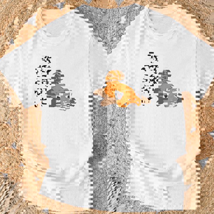 やればできるけどやらない レッサーパンダデザイン Tシャツ 高齢者への贈り物