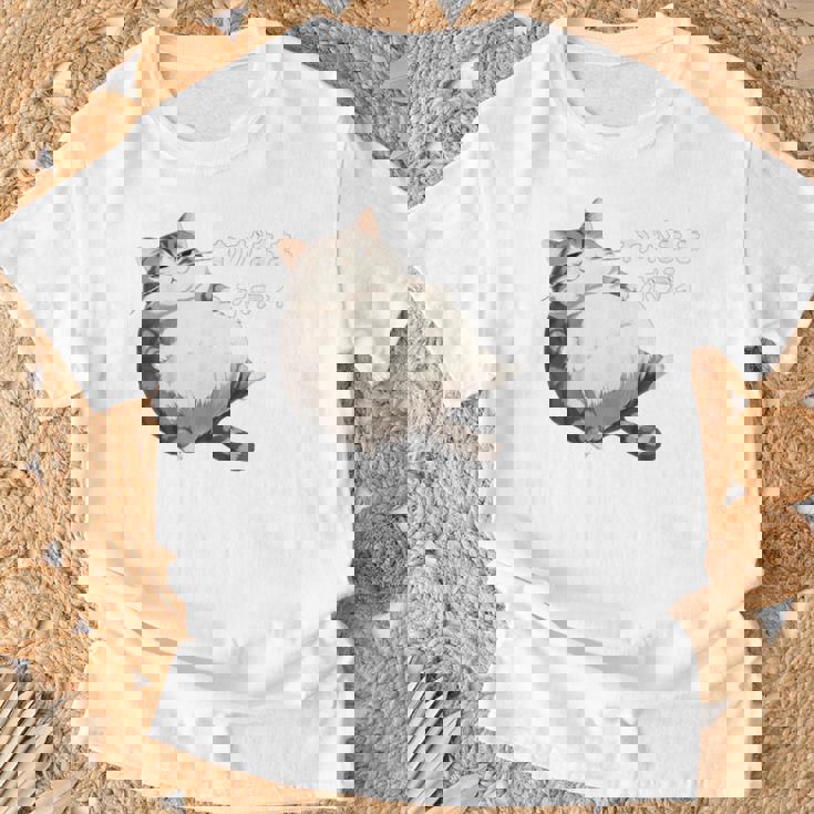 わがままボディ 猫 ねこ 太ったねこ ぽっちゃり 好ねこき かわいい おもしろ 面白い Tシャツ 高齢者への贈り物