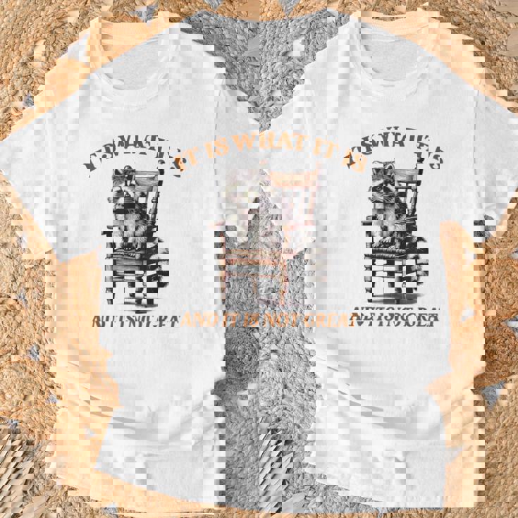 アライグマのミーム It's What It's And It Is Not Greatarcastic Tシャツ 高齢者への贈り物