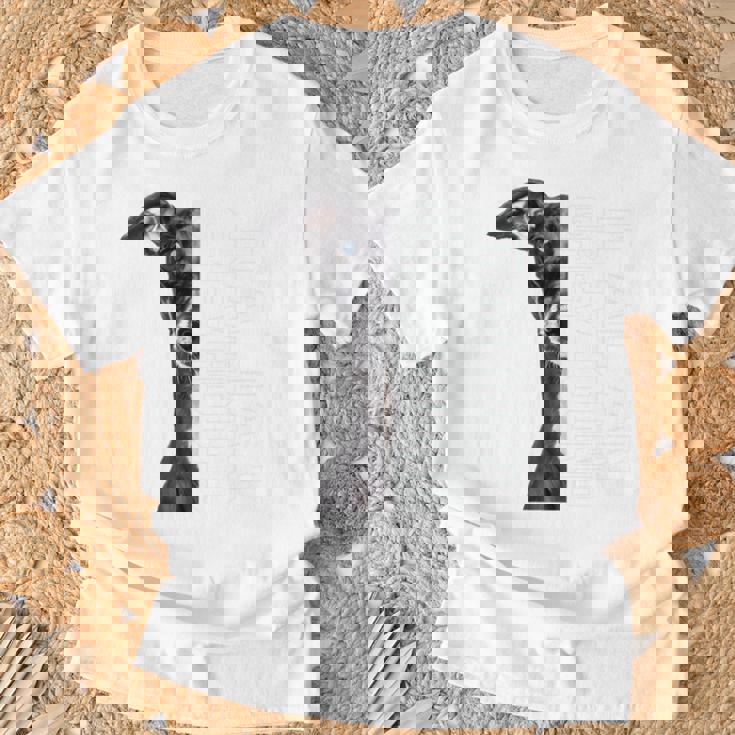 イタリアングレイハウンド 長袖tシャツ Tシャツ 高齢者への贈り物