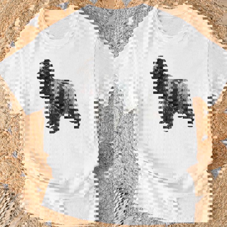 イングリッシュ・コッカー・スパニエル・ブルー・ローン Tシャツ 高齢者への贈り物