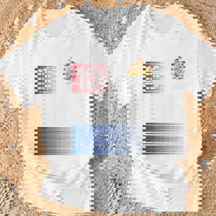 オランダ国旗 10 オランダオレンジ サッカー メンズ レディース キッズ ボーイズ Tシャツ 高齢者への贈り物