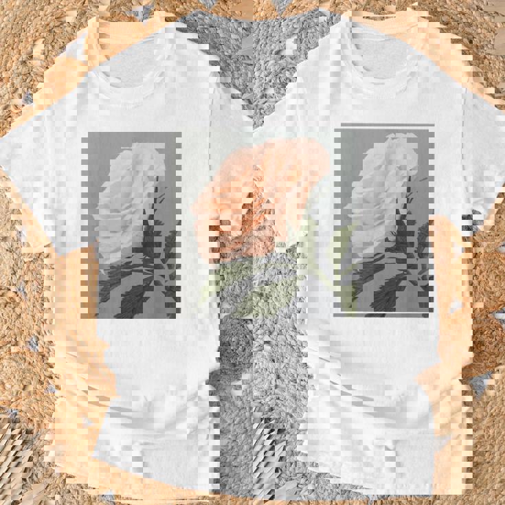 オリジナル現代アート「ピーチローズ」 Tシャツ 高齢者への贈り物