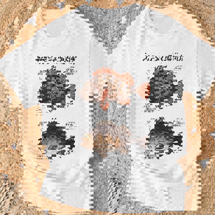 カサゴとメバルの見分け方 Tシャツ 高齢者への贈り物