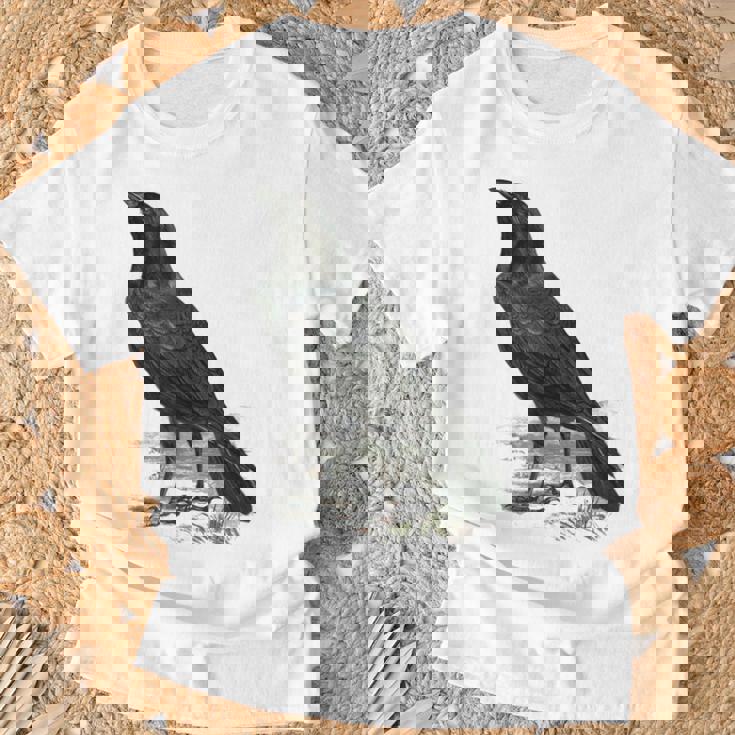 カラス ビンテージ イラスト カラス Tシャツ 高齢者への贈り物