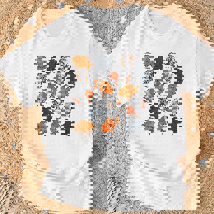 カラフルランチュウ Tシャツ 高齢者への贈り物