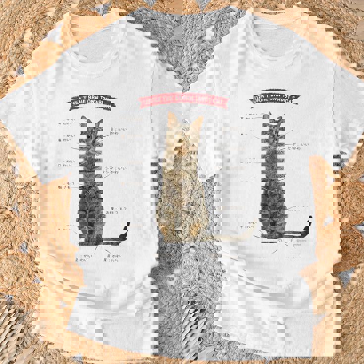 キジトラねこ、うずら 猫 キジトラ猫 鶉 かわいい Cat （ホワイト） Tシャツ 高齢者への贈り物