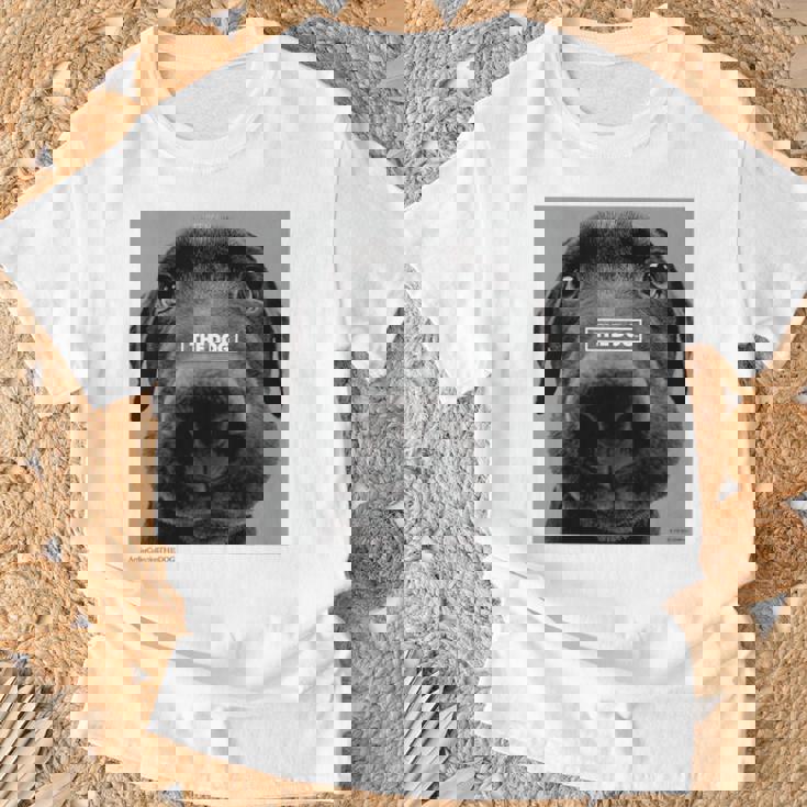 キッズ Artlist Collection The Dog ラブラドール・レトリーバー （キッズ） Tシャツ 高齢者への贈り物