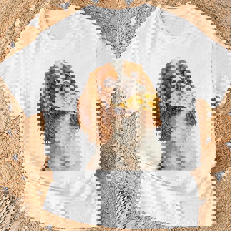 キャバリア・キング・チャールズ・スパニエル・チーズ・ドッグキャバリアー 長袖tシャツ Tシャツ 高齢者への贈り物