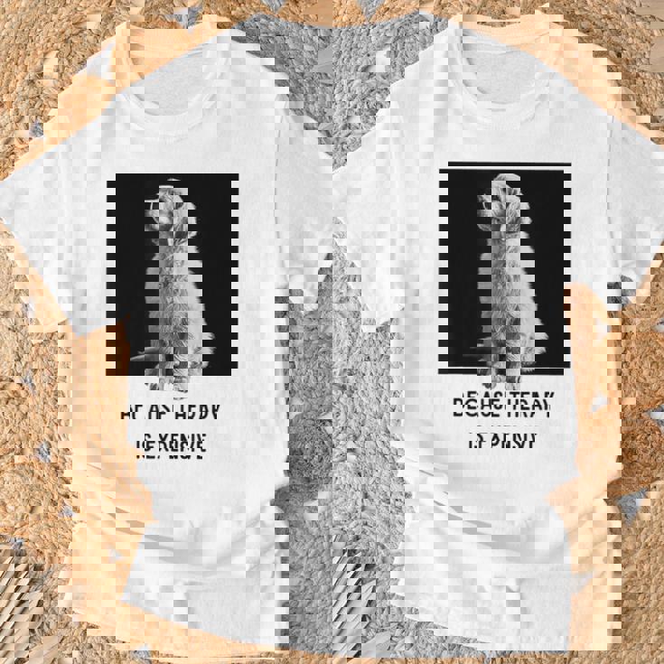 ゴールデンレトリーバー セラピー 、ゴールデンレトリーバー オーナーギフト Tシャツ 高齢者への贈り物