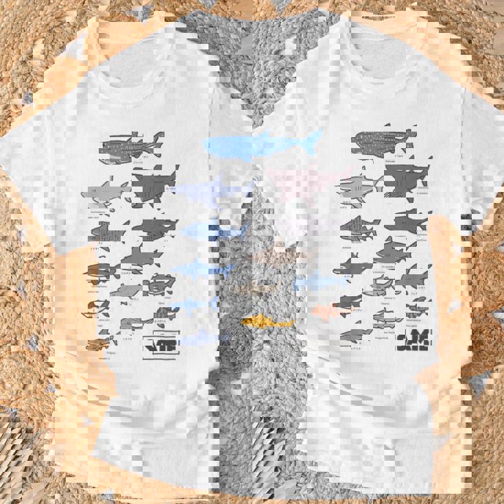 サメ図鑑 Tシャツ 高齢者への贈り物