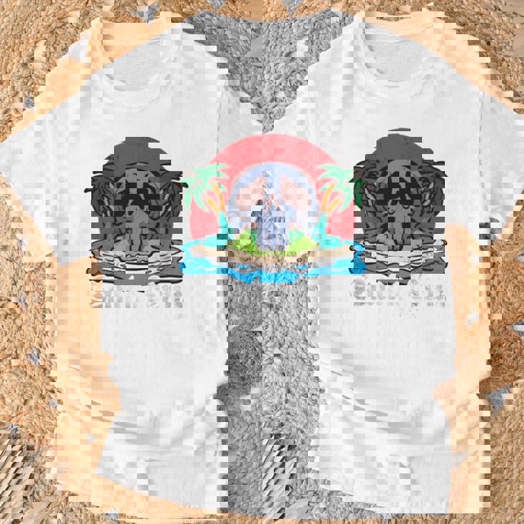 サンタクルーズ カリフォルニア ヴィンテージ レトロ 長袖tシャツ Tシャツ 高齢者への贈り物