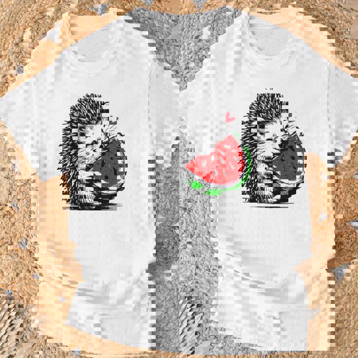スイカの誕生日を食べるキュートで愛らしいハリネズミ Tシャツ 高齢者への贈り物