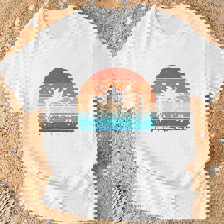 タカアシガニのささやき 海洋生物学者 長袖tシャツ Tシャツ 高齢者への贈り物