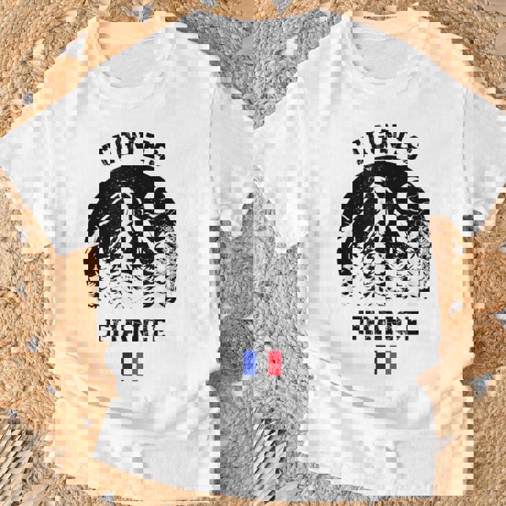 ティニュ フランス アルプス スキー場 アルペンスキー フランス国旗 Tシャツ 高齢者への贈り物
