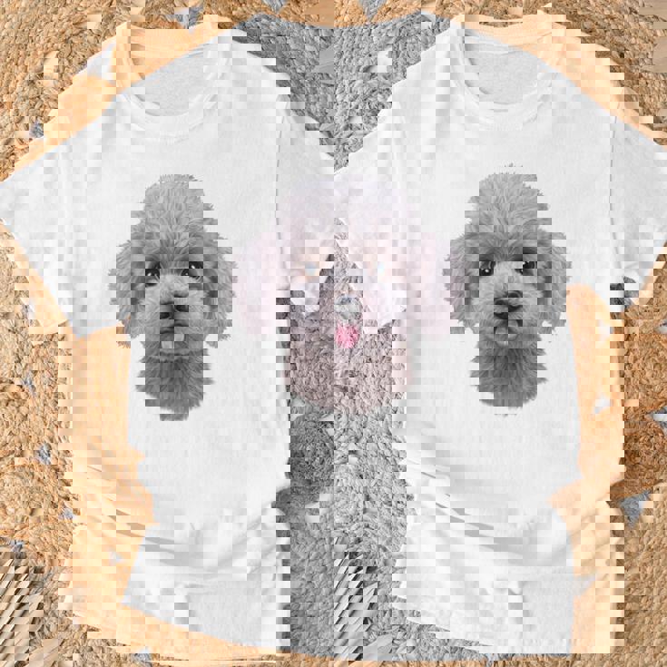 ホワイト トイプードル 犬 いぬ 顔 Tシャツ 高齢者への贈り物