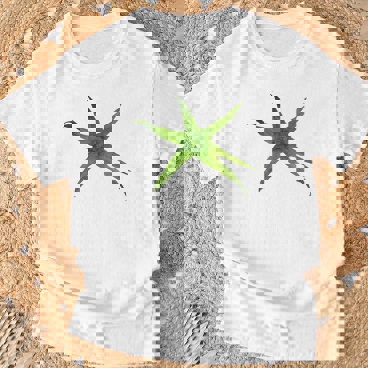 トマトイージー コスチューム トマトに変身 Tシャツ 高齢者への贈り物