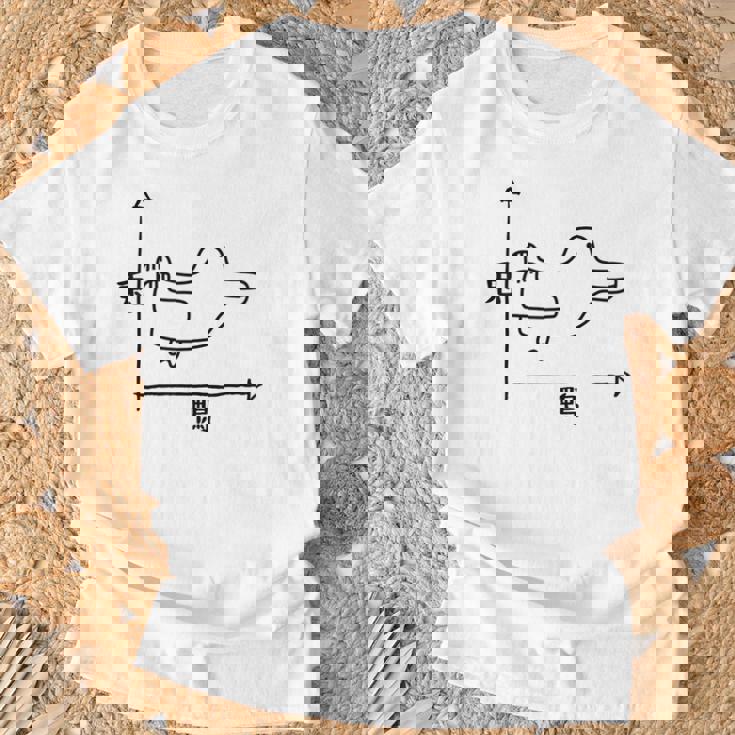 トリックアート うさぎとカモ 兎と鴨 おもしろデザイン だまし絵 兎 鴨 グラフ Tシャツ 高齢者への贈り物