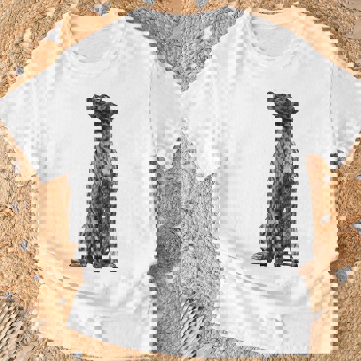 ドッグ・プロット・ハウンド Tシャツ 高齢者への贈り物