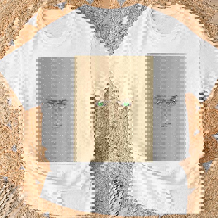 ドリミ4周年記念 壁（桐谷 洋介） Tシャツ 高齢者への贈り物