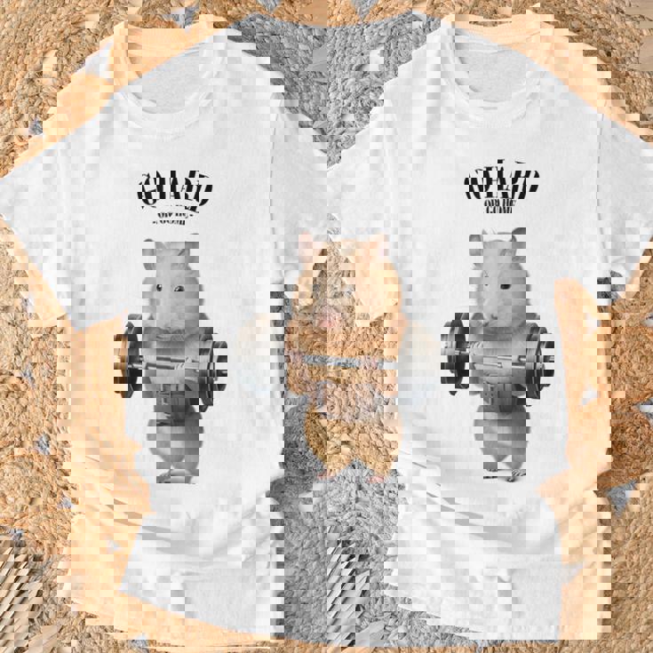 ハムスター ウェイトリフティング フィットネスジム Tシャツ 高齢者への贈り物