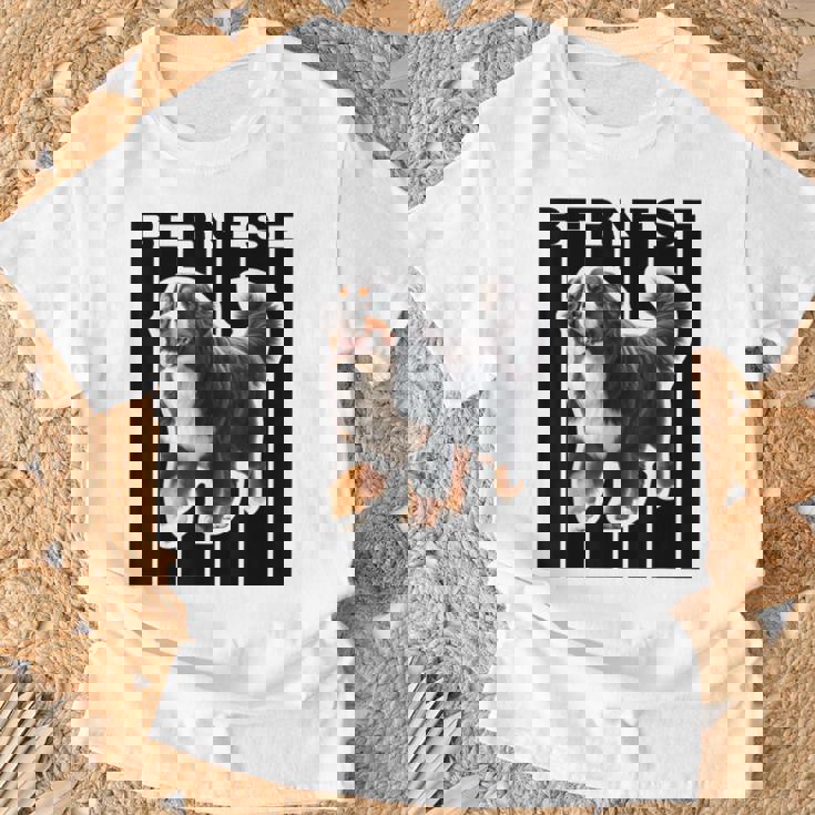 バーニーズマウンテンドッグ愛好家 Tシャツ 高齢者への贈り物