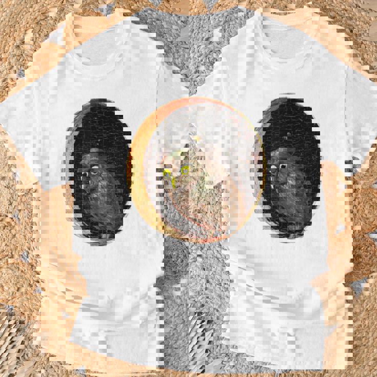 ヒエロニムス・ボス フクロウの大地の庭 Tシャツ 高齢者への贈り物