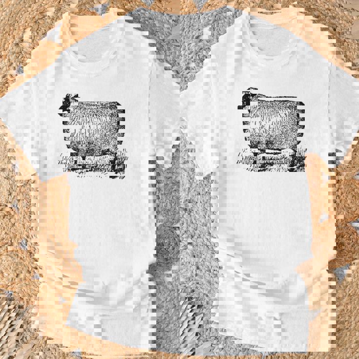 ビンテージ羊の描画 Tシャツ 高齢者への贈り物