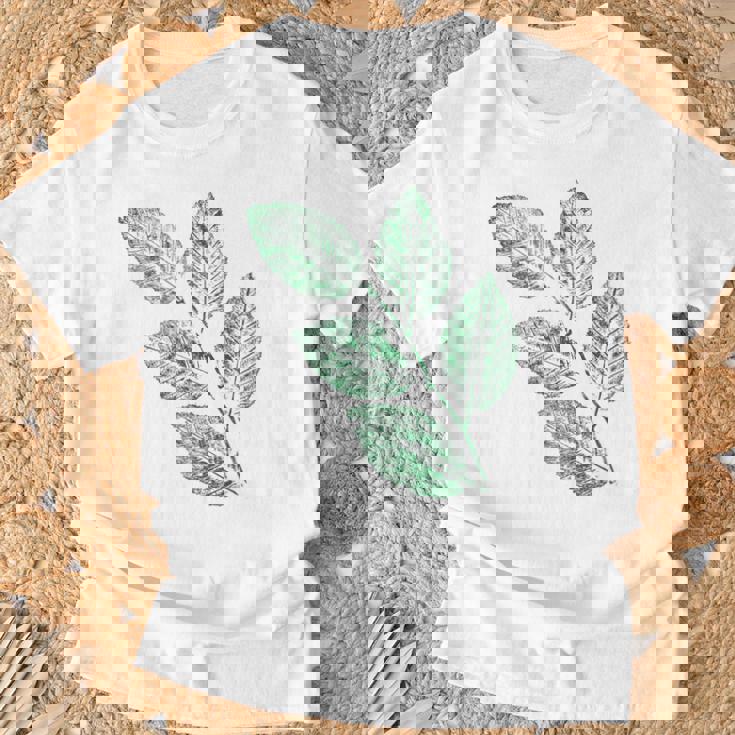 ブナの葉 植物 自然と森林 木のグラフィックス Tシャツ 高齢者への贈り物