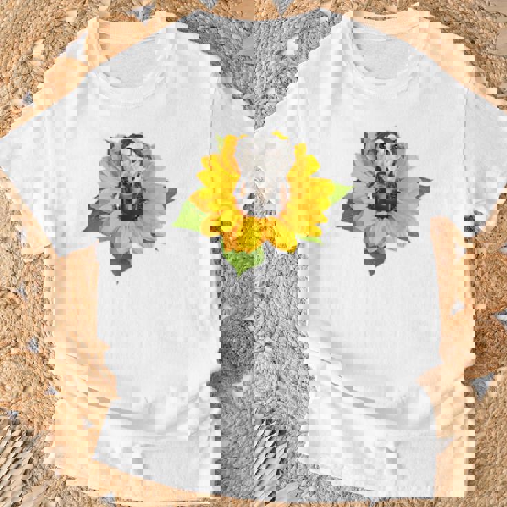 ポケットの中の犬 花 サルーキ Tシャツ 高齢者への贈り物