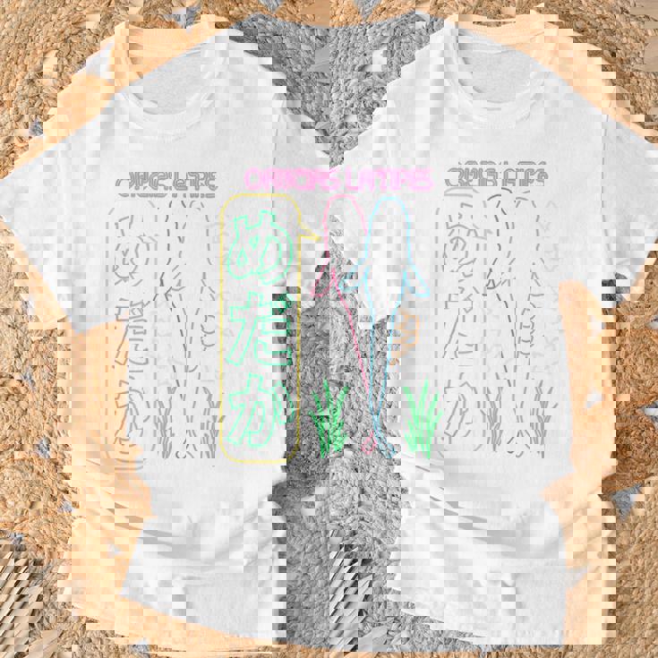 メダカ飼育者向け「めだかネオンデザイン」-バックプリント- Tシャツ 高齢者への贈り物