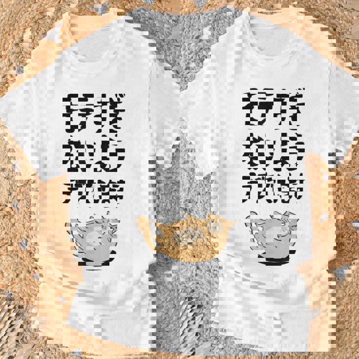 モテすぎないようデブでいます 猫 ギャグ ジョーク 猫好き おもしろ ネコ ネタ Tシャツ 高齢者への贈り物