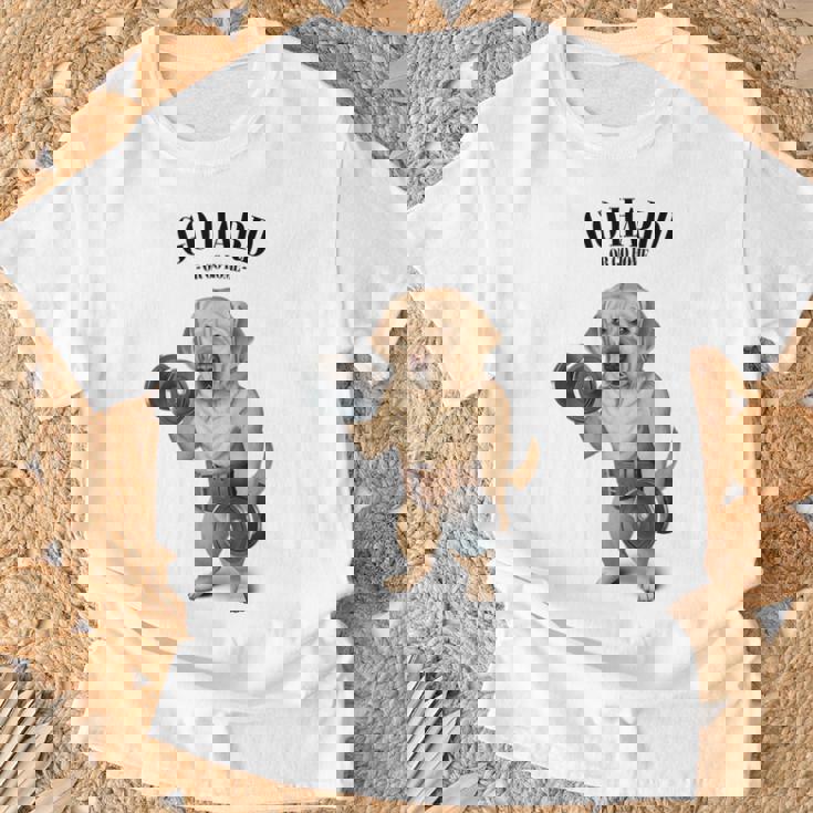 ラブラドールレトリバー 犬用筋肉トレーニング ダンベル付き Tシャツ 高齢者への贈り物