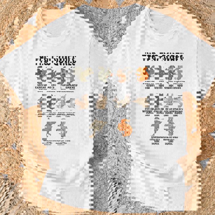 リスシャツの種類 おもしろリスシャツ リス Tシャツ 高齢者への贈り物