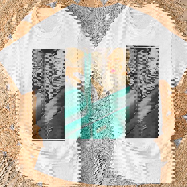 レンピカセルフポートレートの絵画autoportrait タマラ・ド・レンピッカ 長袖tシャツ Tシャツ 高齢者への贈り物