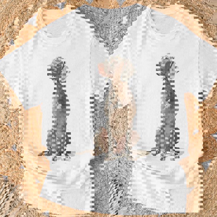 ワイマラナー 犬 グラフィック ペット イラスト ワイマラナー Tシャツ 高齢者への贈り物