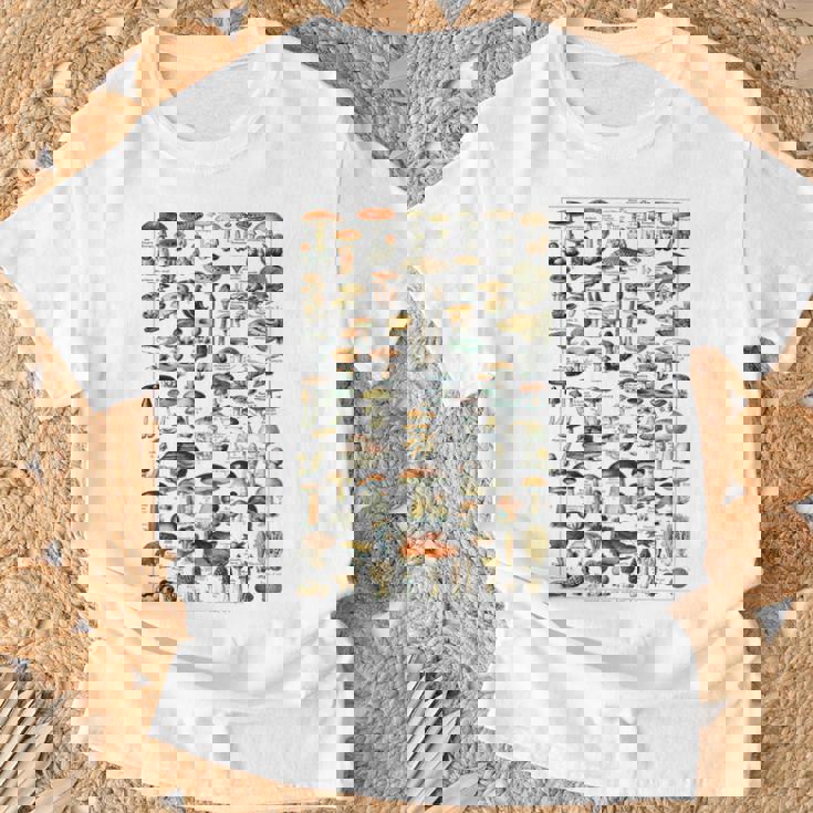 ヴィンテージ キノコ チャート イラスト キノコ モレルハンター Tシャツ 高齢者への贈り物