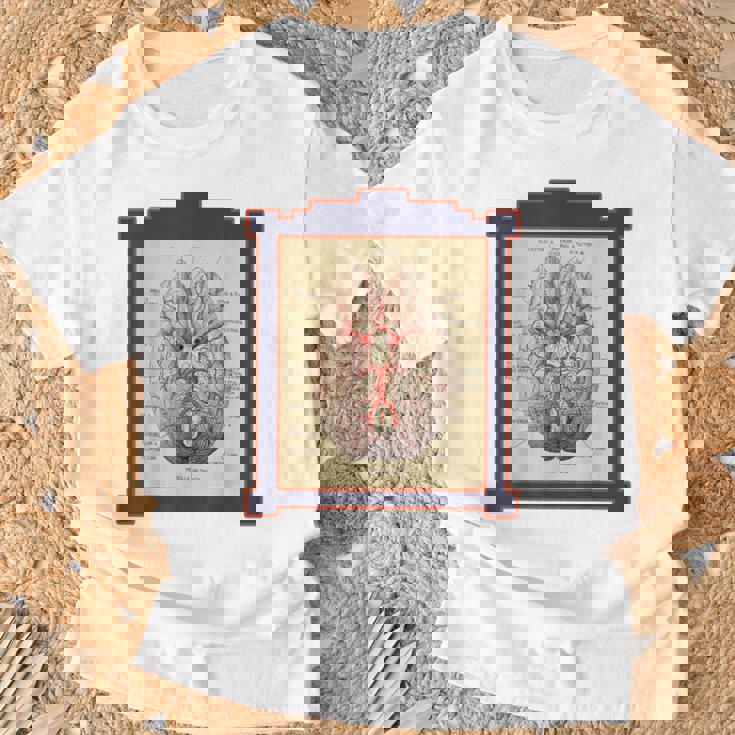 ヴィンテージ 人間の脳 解剖図 Tシャツ 高齢者への贈り物